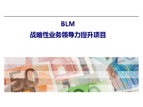 IBM业务领先模型BLM