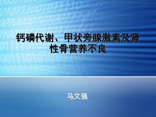 钙磷代谢甲状旁腺激素及肾性骨营养不良PPT课件