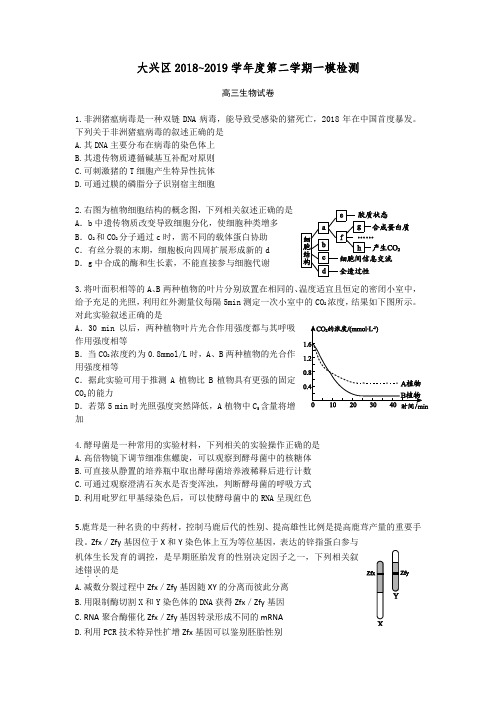 大兴高三一模生物试题+答案2019.4(定稿)