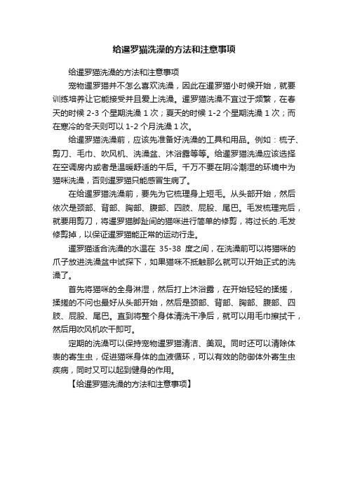 给暹罗猫洗澡的方法和注意事项