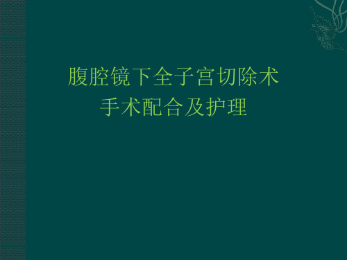 腹腔镜下全子宫切除术