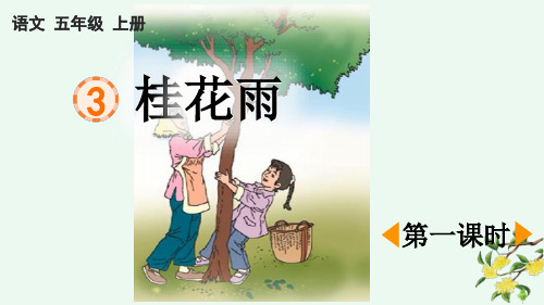 统编版五年级语文上册3《桂花雨》课件(共33张PPT)