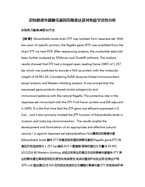 迟钝爱德华菌鞭毛基因克隆表达及其免疫学活性分析