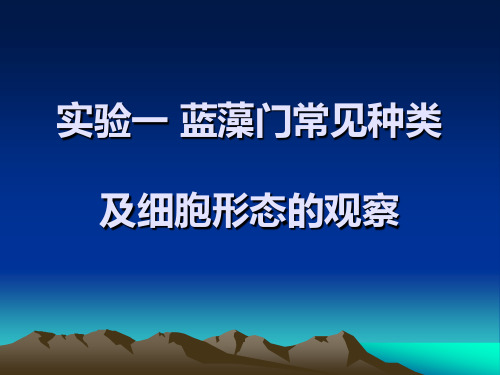 实验一蓝藻门常见种类及细胞形态的观察