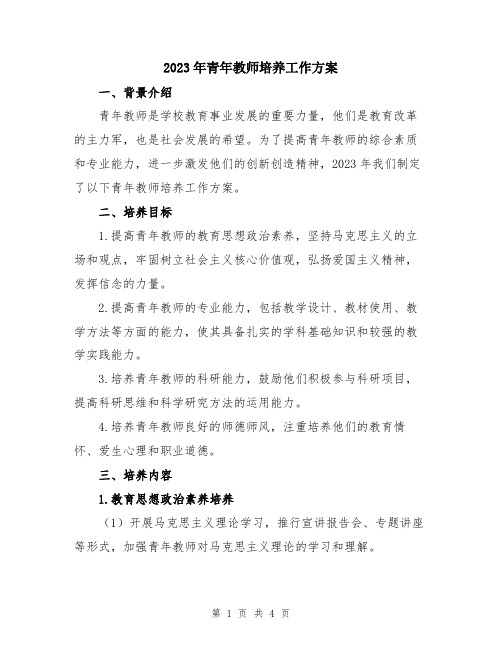 2023年青年教师培养工作方案