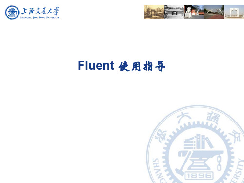 Fluent 使用指导