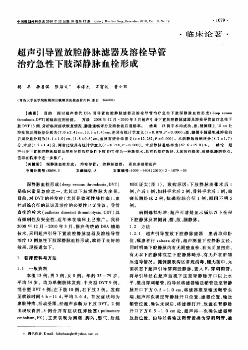 超声引导置放腔静脉滤器及溶栓导管治疗急性下肢深静脉血栓形成