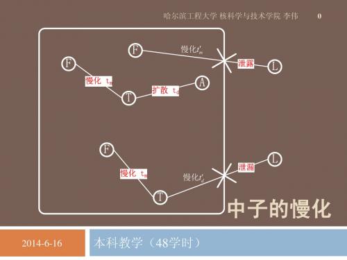 chapter.03.中子的慢化