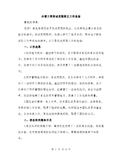 分管工程师试用期转正工作总结（3篇）