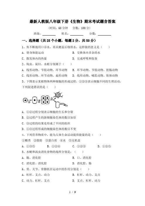 最新人教版八年级下册《生物》期末考试题含答案