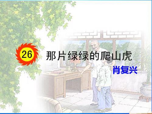 那片绿绿的爬山虎