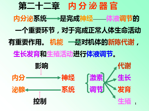 解剖学内分泌ppt课件