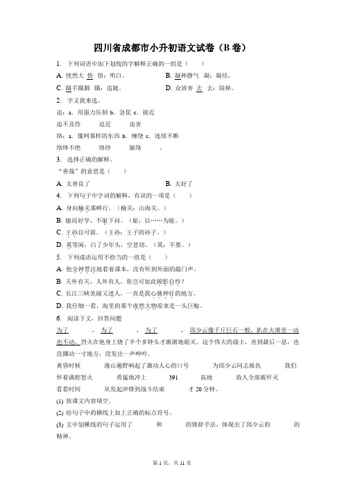 四川省成都市小升初语文试卷(B卷)和答案解析