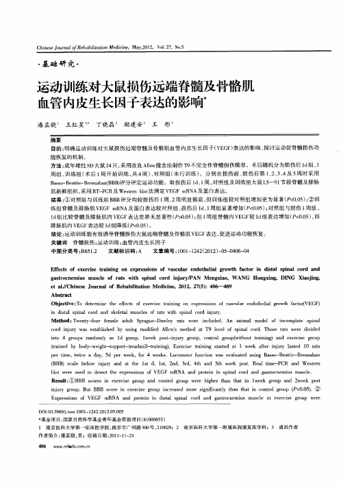 运动训练对大鼠损伤远端脊髓及骨骼肌血管内皮生长因子表达的影响