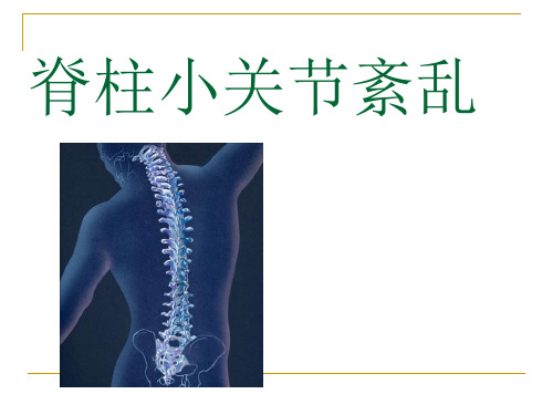 脊柱小关节紊乱ppt课件