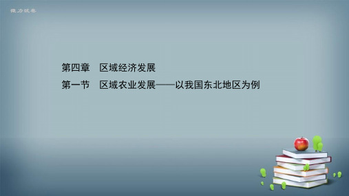 2021-2022版高中地理人教版必修3课件：第四章 第一节 区域农业发展——以我国东北地区为例