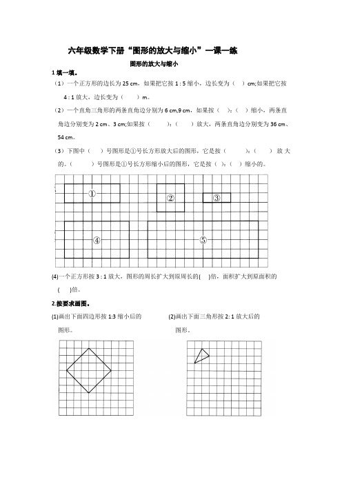 六年级数学下册“图形的放大与缩小”一课一练