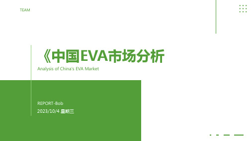 2023年中国EVA行业现状分析：供需稳定增长、进口数量保持高位报告模板