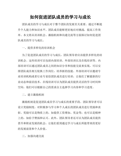 如何促进团队成员的学习与成长