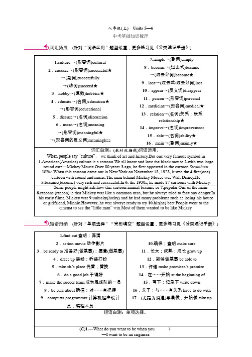 2020年 中考王英语第一轮复习  河北人教版精讲 (69)