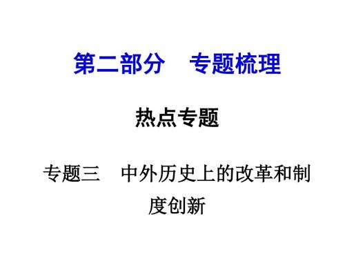 河南中考人教版历史第二部分  专题梳理热点专题课件：