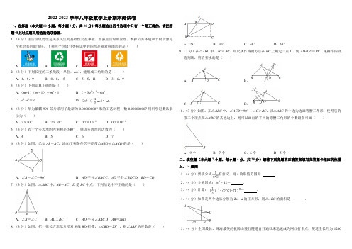 人教版2022-2023学年八年级数学上册期末测试卷含答案