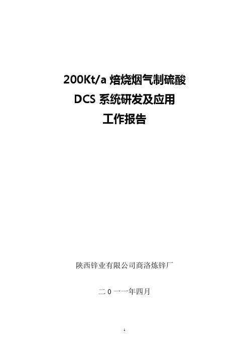 DCS项目工作报告doc