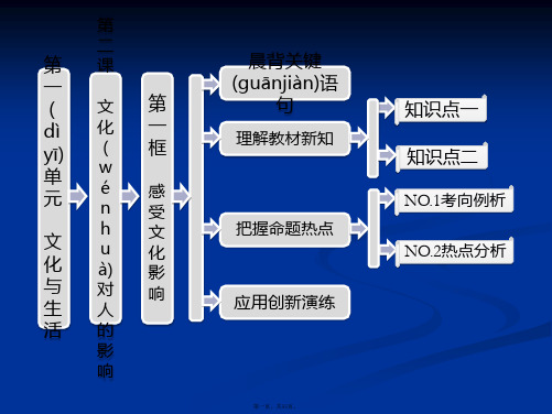 高二政治必修3教师用书课件第一单元第二课第一框感受文化影响