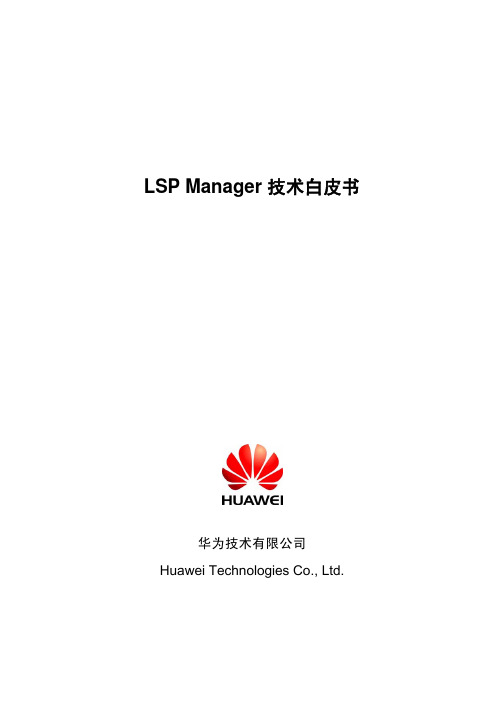 LSP Manager技术白皮书