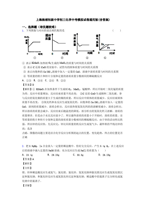 上海杨浦初级中学初三化学中考模拟试卷通用版(含答案)