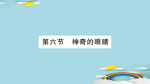 第4章 第6节 神奇的眼睛—2020年秋教科版物理八年级上册课时作业课件