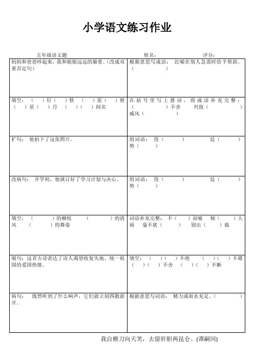 小学五年级语文课堂练习III (30)