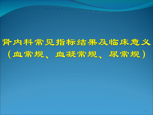 肾内科常见指标模板PPT课件