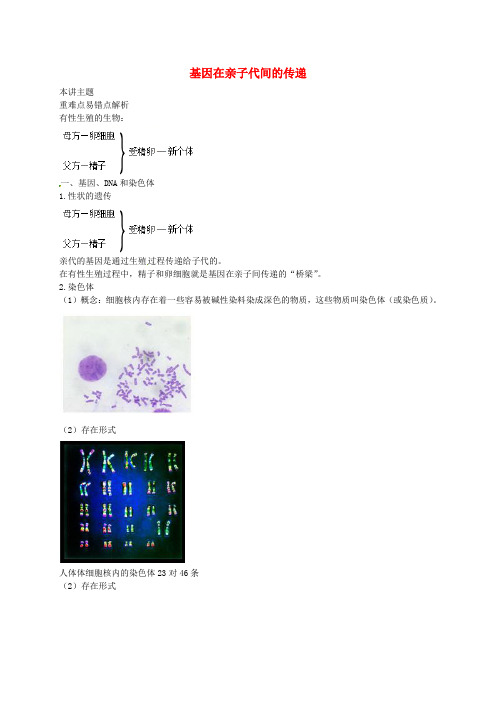 八年级生物下册第七单元第二章第二节基因在亲子代间的传递讲义(新版)