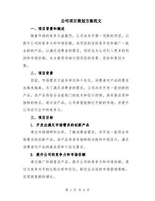 公司项目策划方案范文