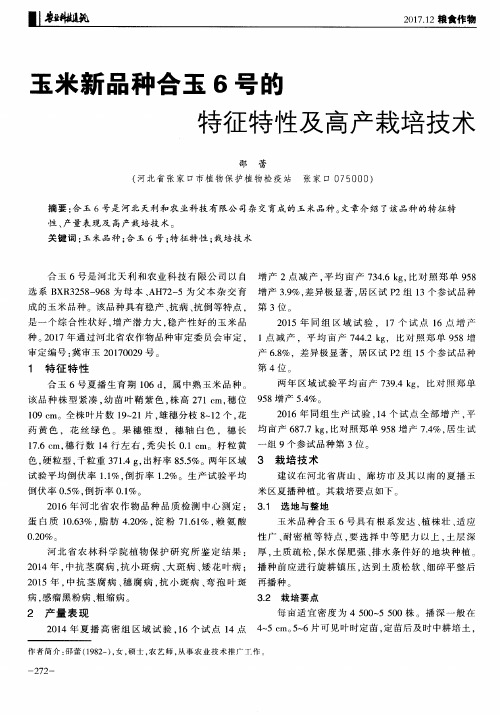 玉米新品种合玉6号的特征特性及高产栽培技术