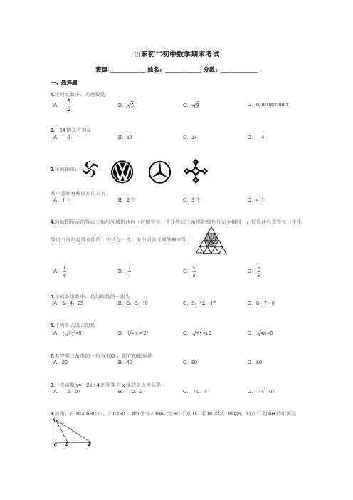 山东初二初中数学期末考试带答案解析
