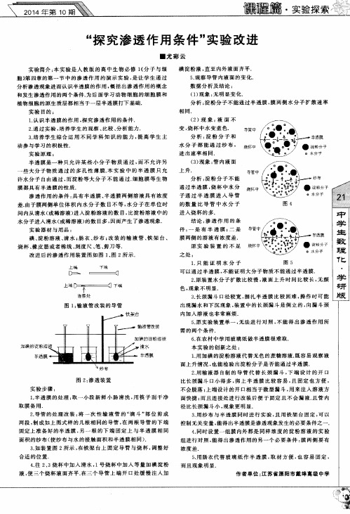 “探究渗透作用条件”实验改进