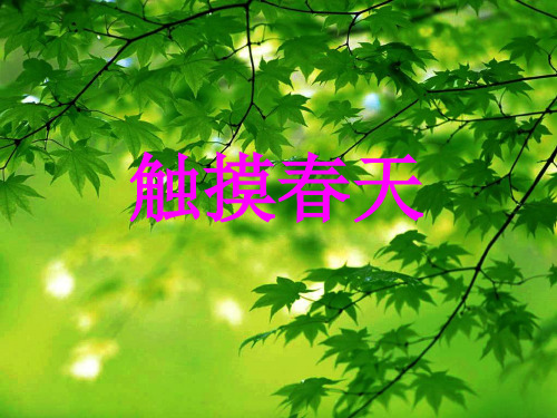 人教新课标语文四年级下册《5.17触摸春天》PPT课件