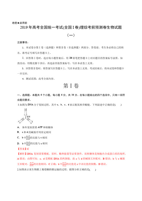 解析版-2019年高考全国统一考试(全国I卷)理综考前预测卷生物试题(一)