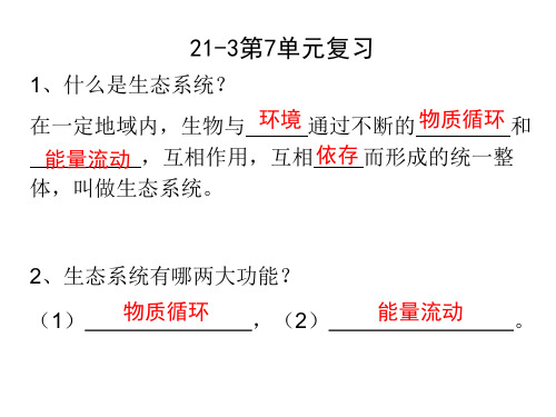 苏教版八年级上册21-3第7单元复习