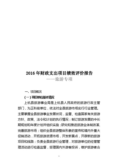 2016年财政支出项目绩效评价报告