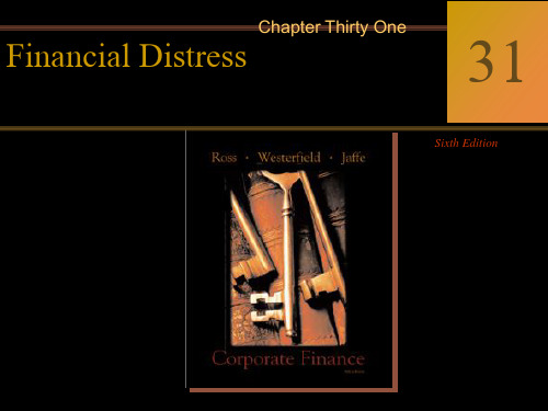 《Corporate Finance (公司金融学)》课件 (32)