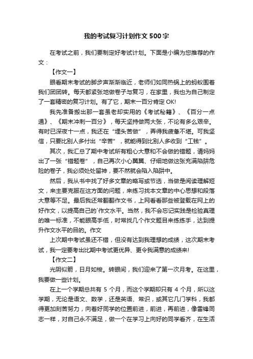 我的考试复习计划作文500字