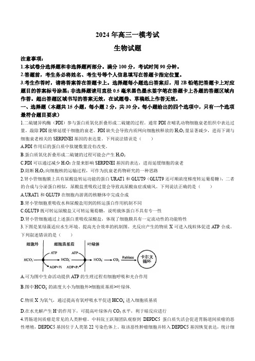 2024山东省菏泽一模(试卷+答案)