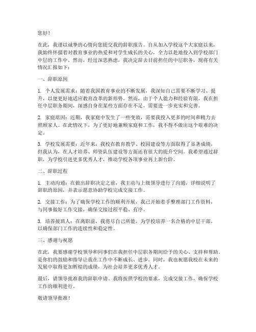 学校部门中层辞职报告