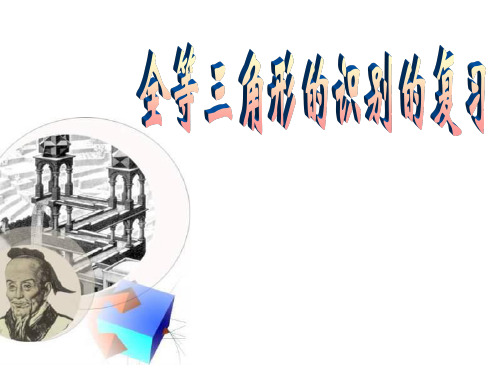 全等三角形识别的复习[上学期]--华师大版(新201907)
