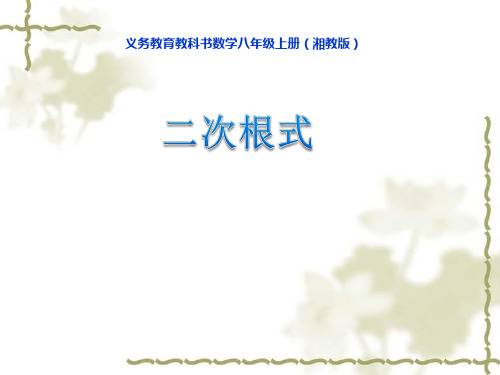 初中数学八年级上5.1二次根式 课件