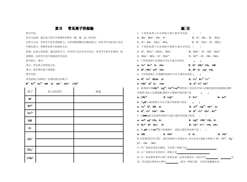 复习  常见离子的检验