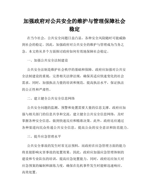 加强政府对公共安全的维护与管理保障社会稳定